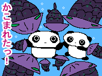 �N������ƃm�X����